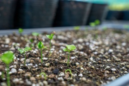 Camp Blaz Nursery Visit