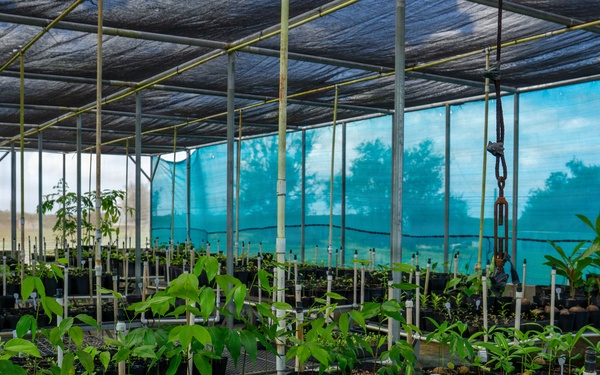 Camp Blaz Nursery Visit