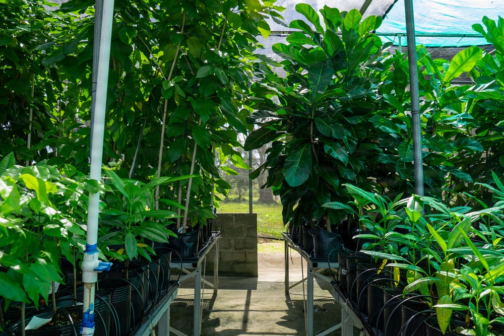 Camp Blaz Nursery Visit