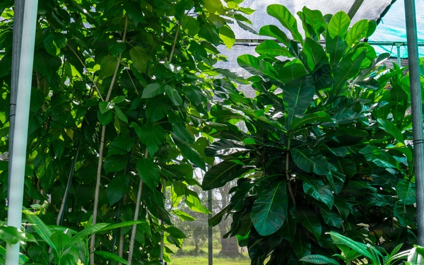 Camp Blaz Nursery Visit