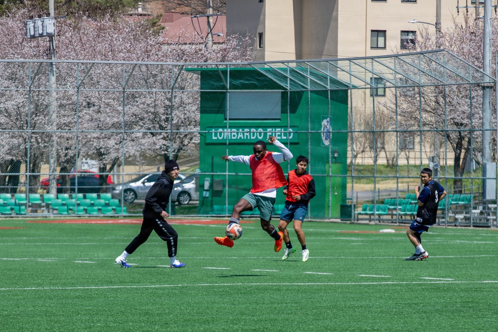 210 Field Artillery Brigade host annual Cherry Blossom event