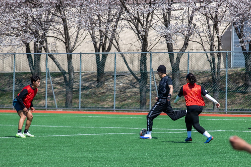 210 Field Artillery Brigade host annual Cherry Blossom event
