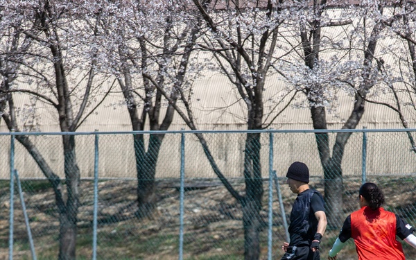210 Field Artillery Brigade host annual Cherry Blossom event