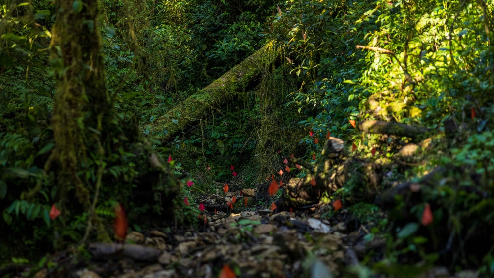 DPAA Mission 25-4 conducts site survey in Papua New Guinea