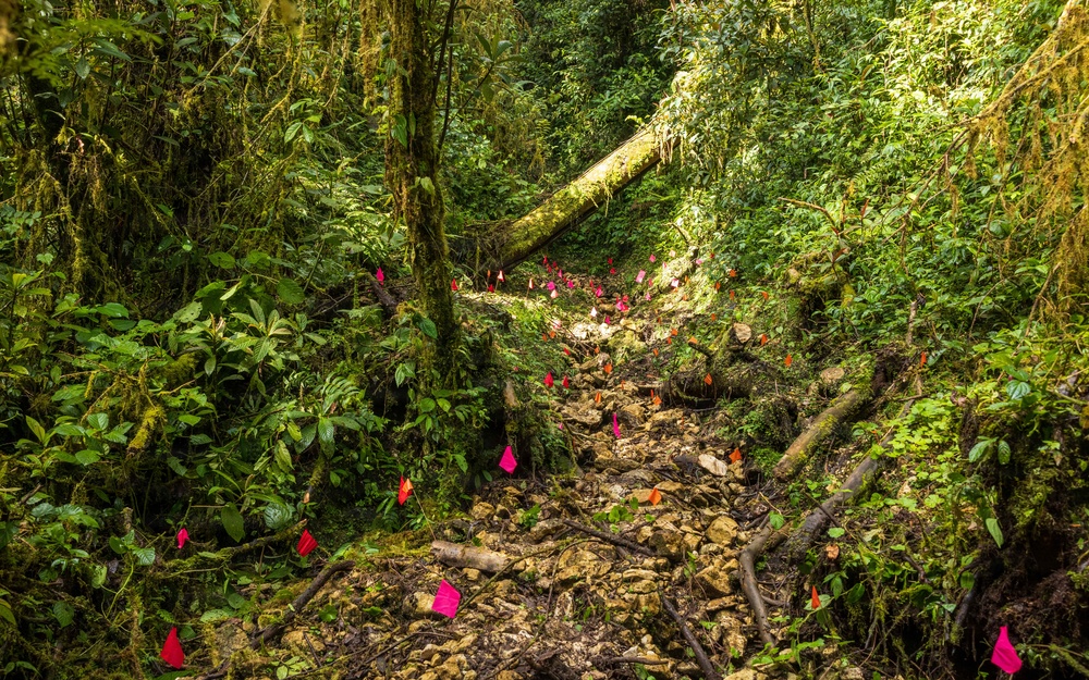 DPAA Mission 25-4 conducts site survey in Papua New Guinea