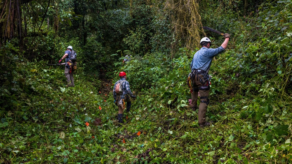 DPAA Mission 25-4 clears brush in Papua New Guinea