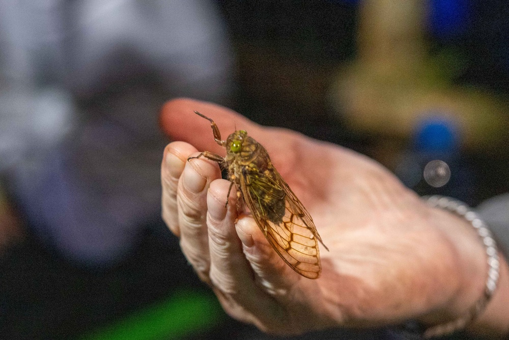 DPAA Mission 25-4 conducts site operations in Papua New Guinea