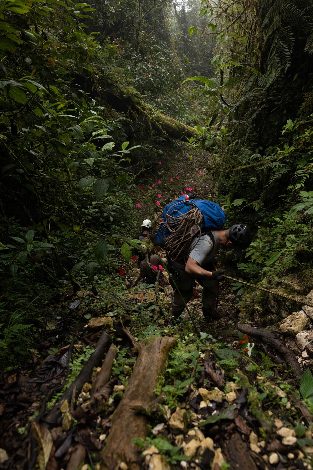 DPAA Mission 25-4 repels down a gulch in Papua New Guinea