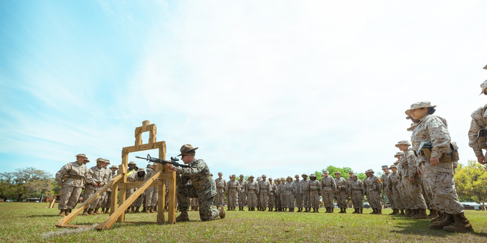 Golf Company Grass Week