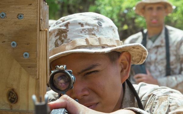 Golf Company Grass Week