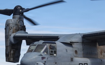 WTI 2-26: MV-22B Day Tactics