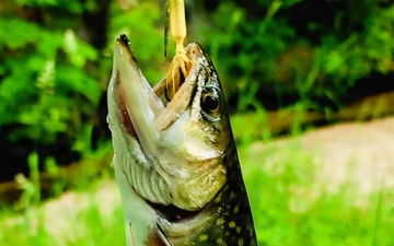 2026 Fort McCoy fishing season begins May 2