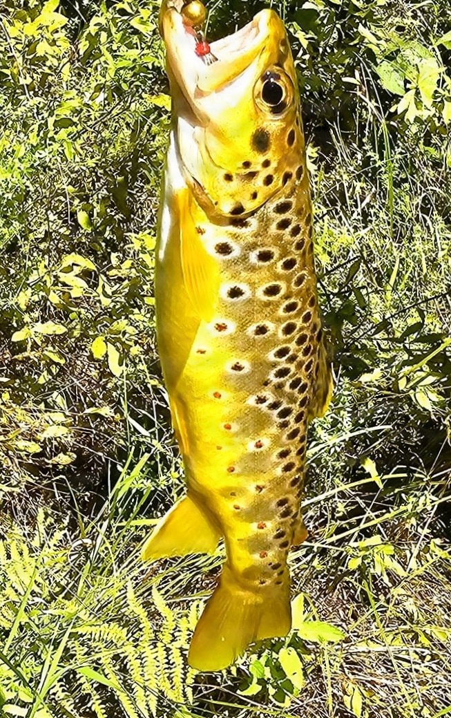 2026 Fort McCoy fishing season begins May 2