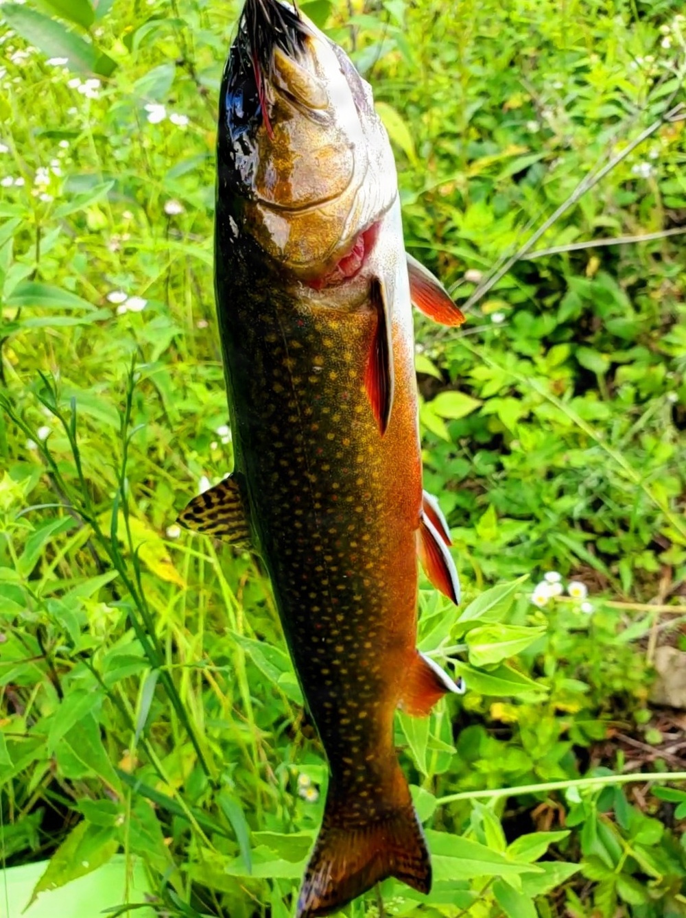 2026 Fort McCoy fishing season begins May 2