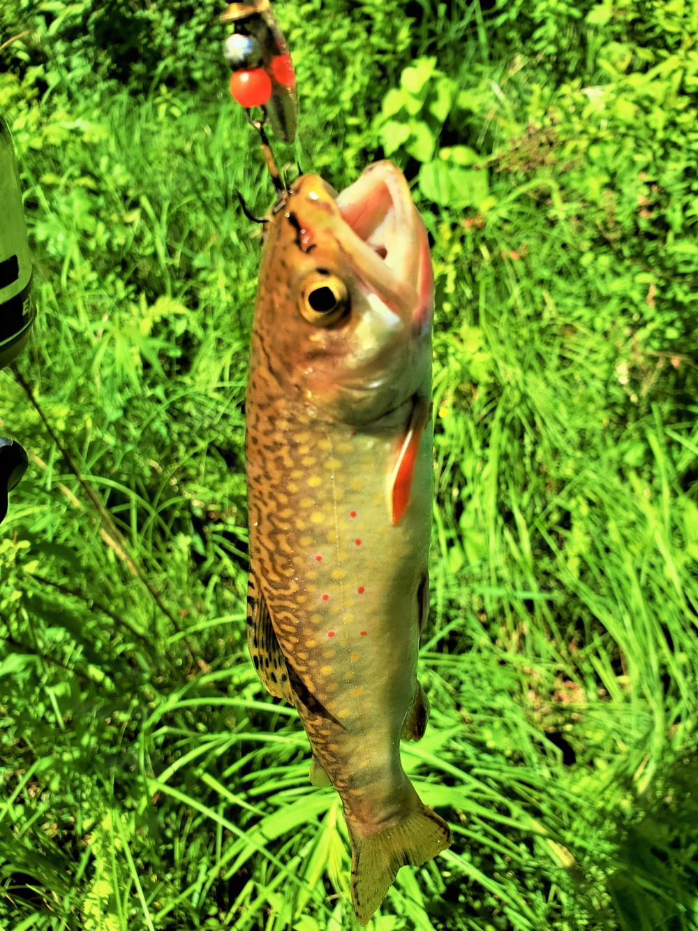 2026 Fort McCoy fishing season begins May 2