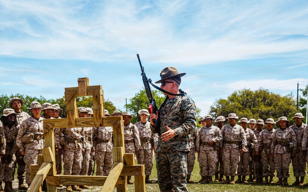 Golf Company Grass Week