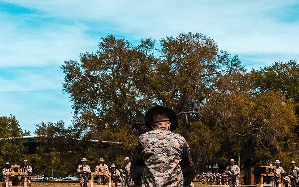 Golf Company Grass Week