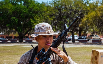 Golf Company Grass Week