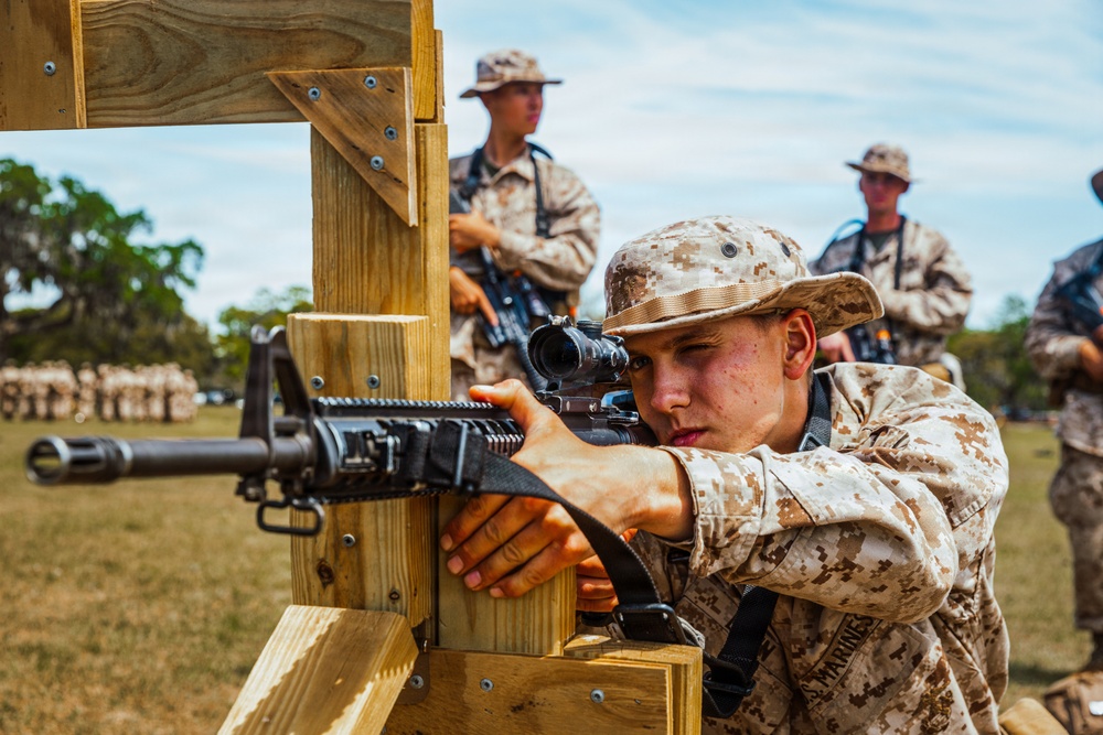 Golf Company Grass Week