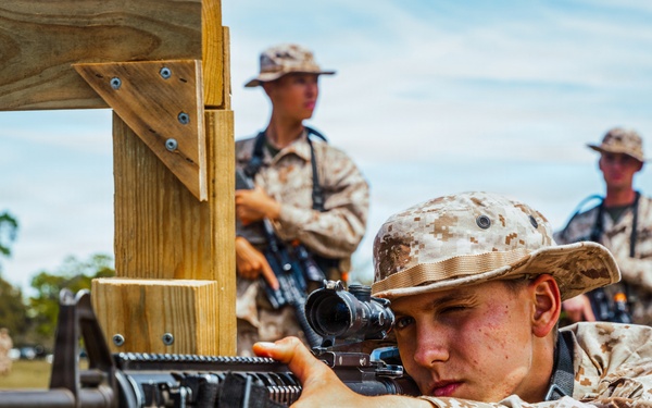 Golf Company Grass Week