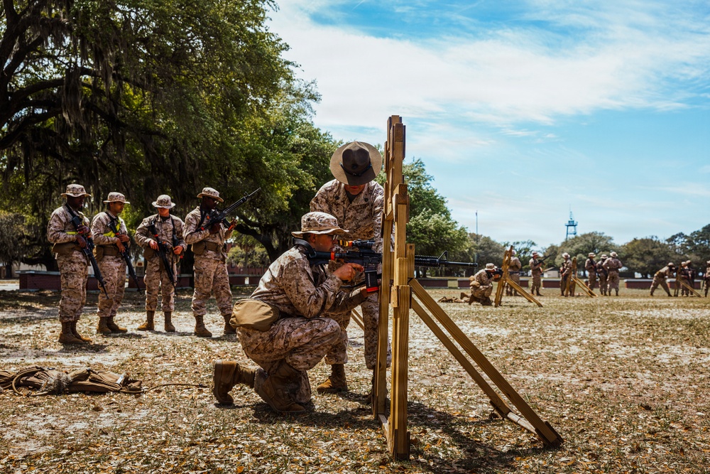 Golf Company Grass Week