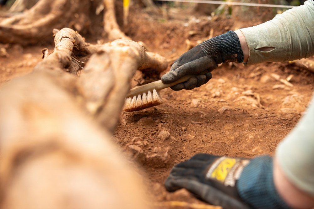 2026-3LA Recovery Operations