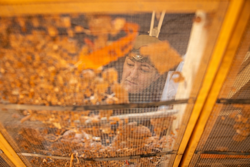 2026-3LA Recovery Operations