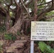 Sacred Utaki on Torii Station