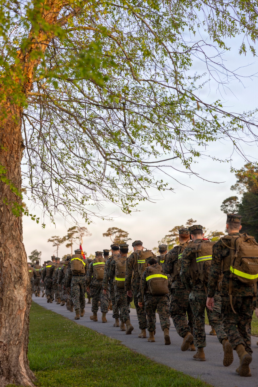 2nd Marine Logistics Group Warrior festival and Hike