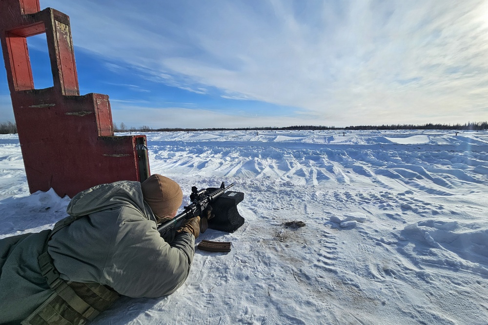Alaska Army National Guardsmen and Mongolian Armed Forces share infantry skills