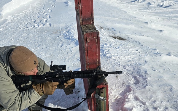 Alaska Army National Guardsmen and Mongolian Armed Forces share infantry skills