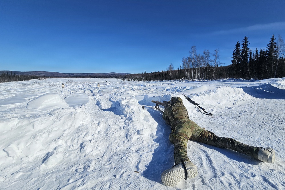 Alaska Army National Guardsmen and Mongolian Armed Forces share infantry skills