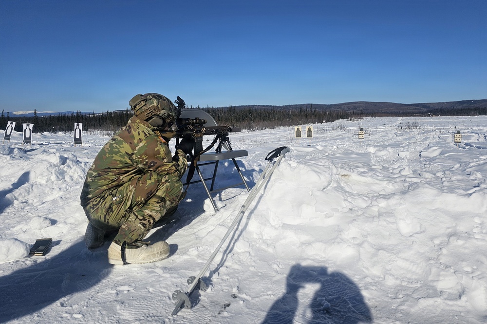 Alaska Army National Guardsmen and Mongolian Armed Forces share infantry skills