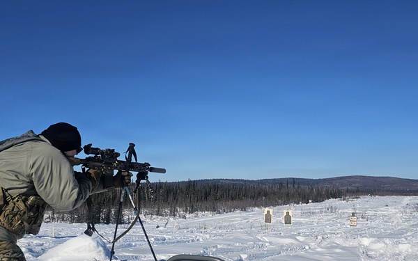 Alaska Army National Guardsmen and Mongolian Armed Forces share infantry skills