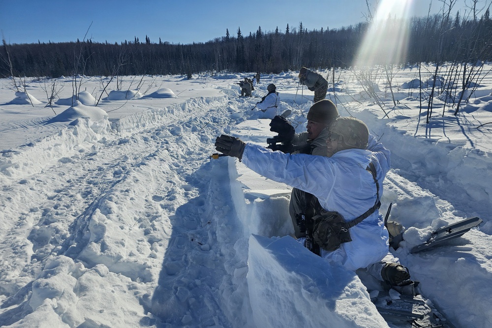 Alaska Army National Guardsmen and Mongolian Armed Forces share infantry skills