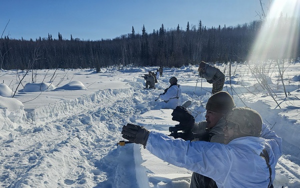 Alaska Army National Guardsmen and Mongolian Armed Forces share infantry skills