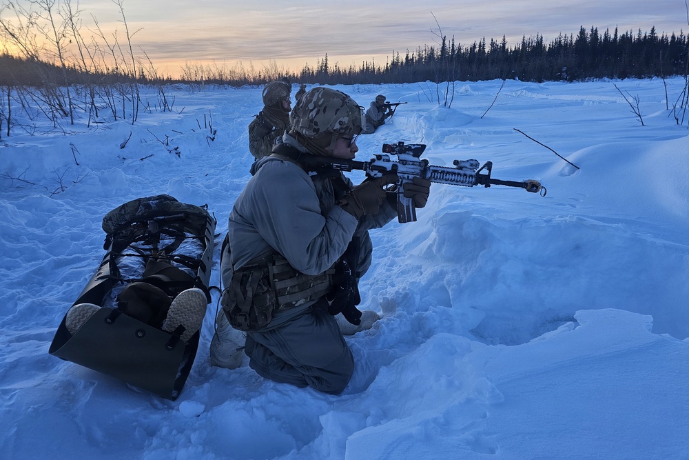 Alaska Army National Guardsmen and Mongolian Armed Forces share infantry skills