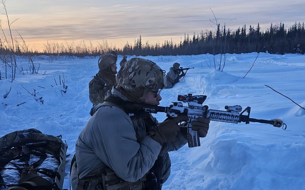 Alaska Army National Guardsmen and Mongolian Armed Forces share infantry skills