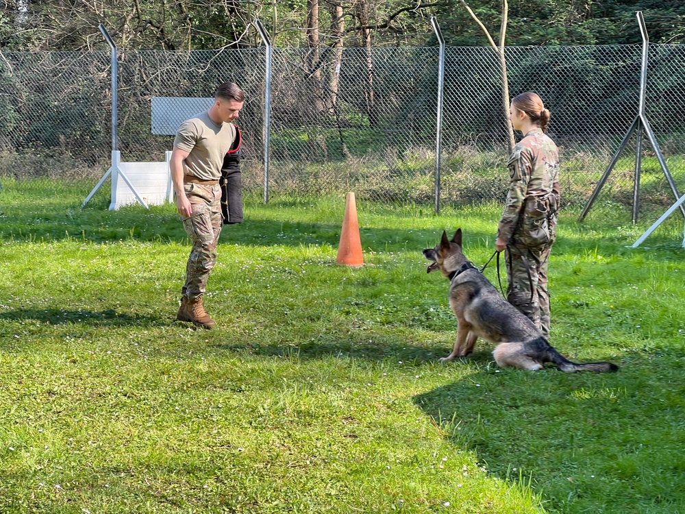 K9 military working dog teams prove their worth at USAG Italy