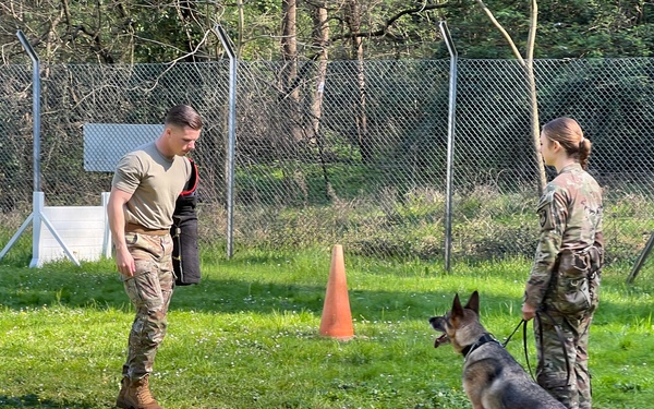 K9 military working dog teams prove their worth at USAG Italy