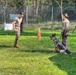 K9 military working dog teams prove their worth at USAG Italy