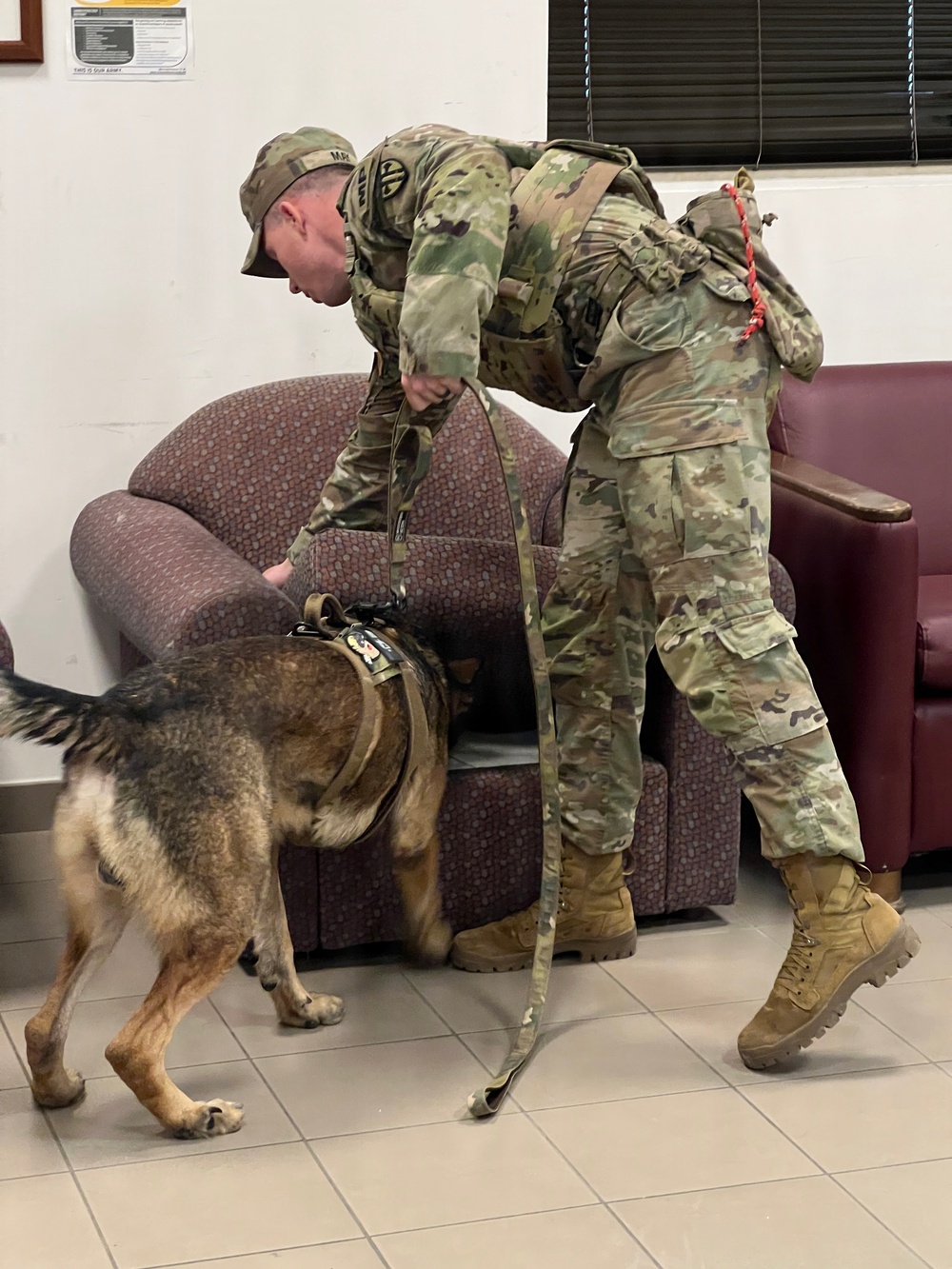 K9 military working dog teams prove their worth at USAG Italy