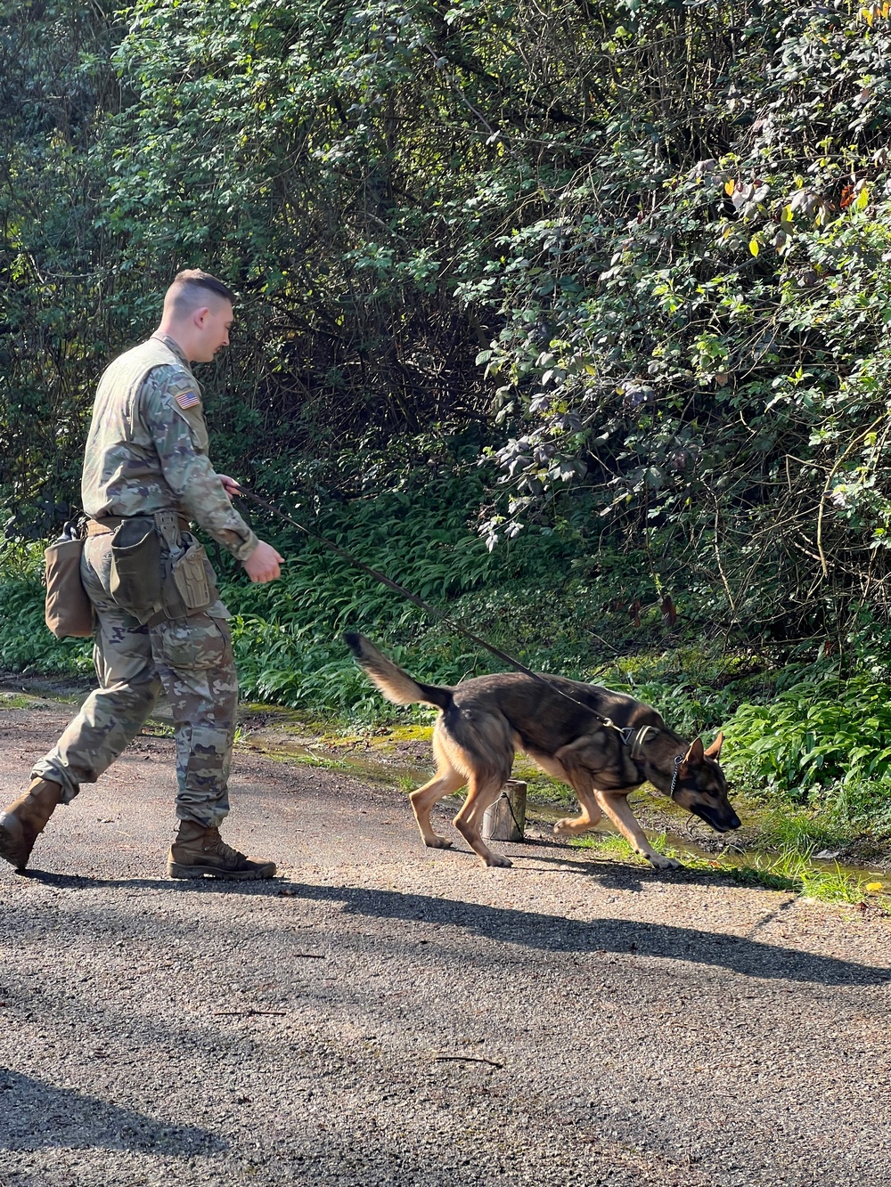 K9 military working dog teams prove their worth at USAG Italy