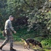 K9 military working dog teams prove their worth at USAG Italy