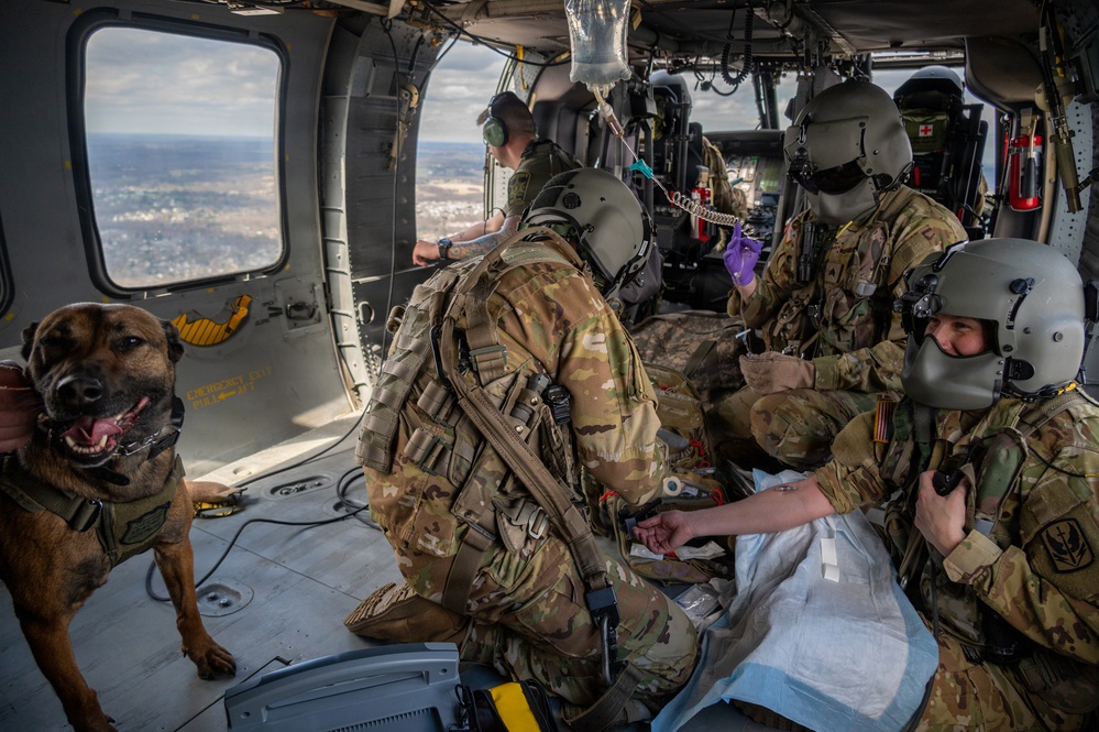 Maryland Guard helicopters and police K-9 units collaborate during MEDEVAC training