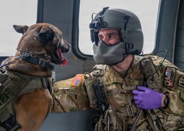 Maryland Guard helicopters and police K-9 units collaborate during MEDEVAC training