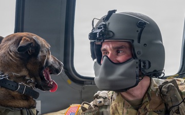 Maryland Guard helicopters and police K-9 units collaborate during MEDEVAC training