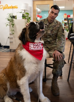 A round of ap-paws for USO therapy dogs