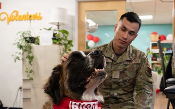 A round of ap-paws for USO therapy dogs