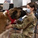 A round of ap-paws for USO therapy dogs
